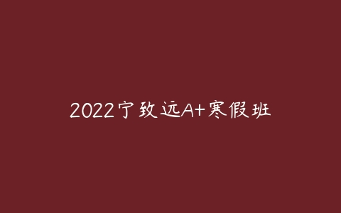 2022宁致远A+寒假班-51自学联盟