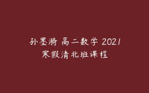 孙墨漪 高二数学 2021寒假清北班课程-51自学联盟