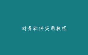 财务软件实用教程-51自学联盟