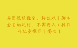 美团视频掘金，解放双手脚本全自动运行，不需要人工操作可批量操作【揭秘】-51自学联盟