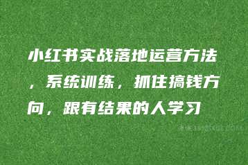 小红书实战落地运营方法，系统训练，抓住搞钱方向，跟有结果的人学习-51自学联盟