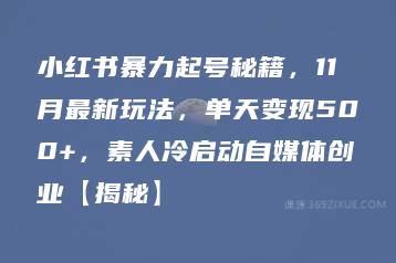 小红书暴力起号秘籍，11月最新玩法，单天变现500+，素人冷启动自媒体创业【揭秘】-51自学联盟