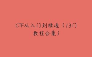 CTF从入门到精通（13门教程合集）-51自学联盟