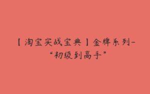 【淘宝实战宝典】金牌系列-“初级到高手”-51自学联盟