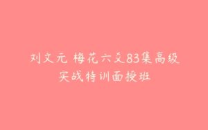 刘文元 梅花六爻83集高级实战特训面授班-51自学联盟