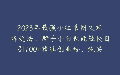 2023年最强小红书图文矩阵玩法，新手小白也能轻松日引100+精准创业粉，纯实操教学，不容错过！-51自学联盟