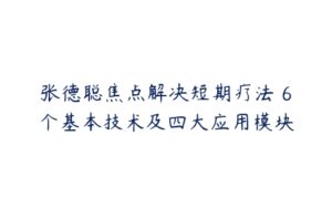 张德聪焦点解决短期疗法 6个基本技术及四大应用模块-51自学联盟