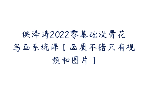 侯泽涛2022零基础没骨花鸟画系统课【画质不错只有视频和图片】-51自学联盟