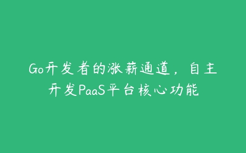 Go开发者的涨薪通道，自主开发PaaS平台核心功能百度网盘下载