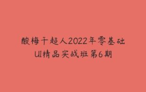 酸梅干超人2022年零基础UI精品实战班第6期-51自学联盟