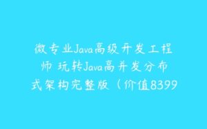 微专业Java高级开发工程师 玩转Java高并发分布式架构完整版（价值8399）-51自学联盟