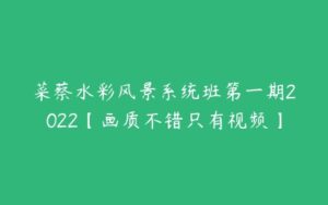 菜蔡水彩风景系统班第一期2022【画质不错只有视频】-51自学联盟