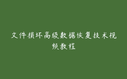 文件损坏高级数据恢复技术视频教程百度网盘下载