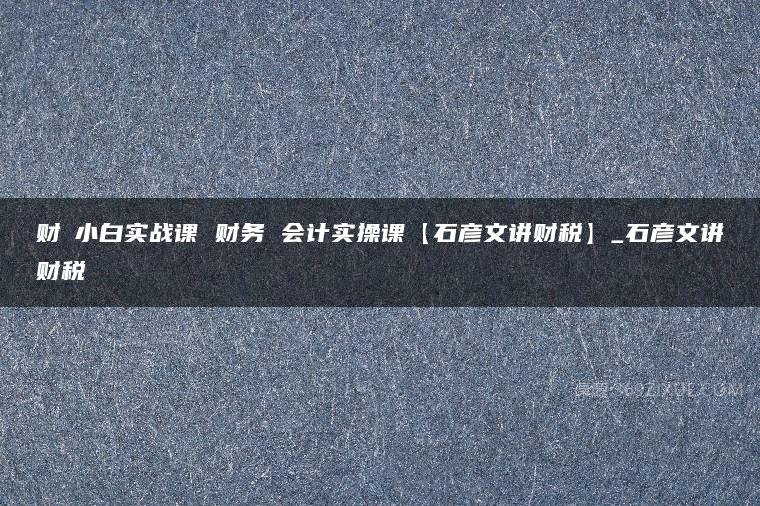 财稅小白实战课 财务 会计实操课【石彦文讲财税】_石彦文讲财税