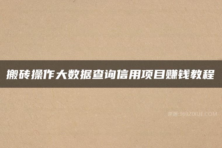 搬砖操作大数据查询信用项目赚钱教程