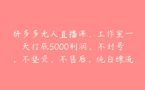 拼多多无人直播课，工作室一天打底5000利润，不封号，不垫资，不售后，纯白嫖流量-51自学联盟