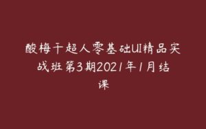 酸梅干超人零基础UI精品实战班第3期2021年1月结课-51自学联盟