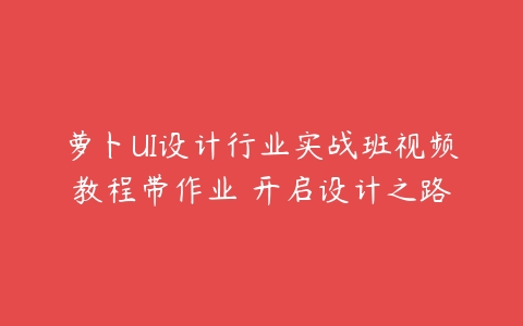 萝卜UI设计行业实战班视频教程带作业 开启设计之路-51自学联盟