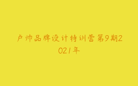 卢帅品牌设计特训营第9期2021年-51自学联盟