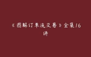 《图解订单流交易》全集16讲-51自学联盟