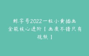 鲸字号2022一粒小黄插画全能核心进阶【画质不错只有视频】-51自学联盟