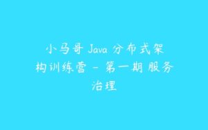 小马哥 Java 分布式架构训练营 - 第一期 服务治理-51自学联盟