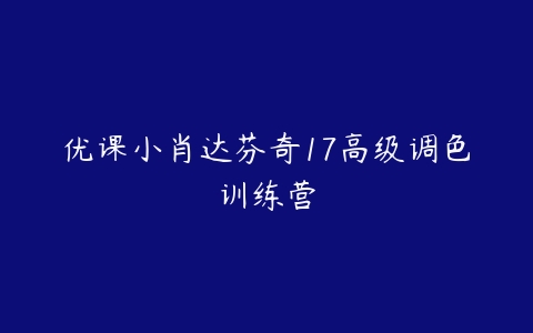 优课小肖达芬奇17高级调色训练营-51自学联盟