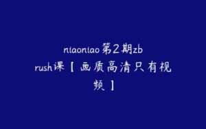 niaoniao第2期zbrush课【画质高清只有视频】-51自学联盟
