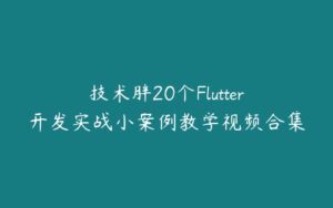 技术胖20个Flutter开发实战小案例教学视频合集-51自学联盟