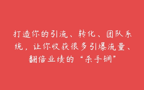 打造你的引流、转化、团队系统，让你收获很多引爆流量、翻倍业绩的“杀手锏”-51自学联盟