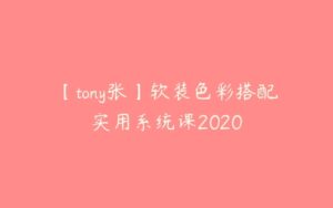 【tony张】软装色彩搭配实用系统课2020-51自学联盟