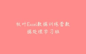 秋叶Excel数据训练营数据处理学习班-51自学联盟