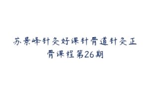 苏景峰针灸好课针骨道针灸正骨课程第26期-51自学联盟