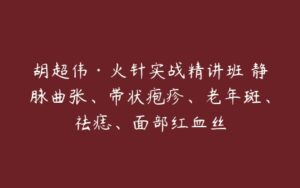 胡超伟·火针实战精讲班–静脉曲张、带状疱疹、老年斑、祛痣、面部红血丝-51自学联盟