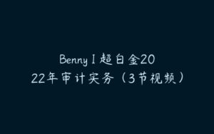 Benny I 超白金2022年审计实务（3节视频）-51自学联盟