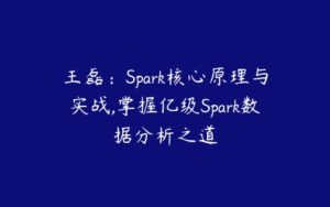 王磊：Spark核心原理与实战,掌握亿级Spark数据分析之道-51自学联盟