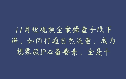 11月短视频全案操盘手线下课，如何打通自然流量，成为想象级IP必备要素，全是干货百度网盘下载