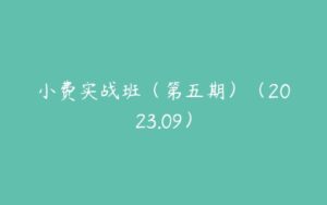 小费实战班（第五期）（2023.09）-51自学联盟