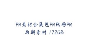 PR素材合集包PR转场PR后期素材 172GB-51自学联盟