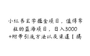 小红书玄学掘金项目，值得常驻的蓝海项目，日入3000+附带引流方法以及渠道【揭秘】-51自学联盟