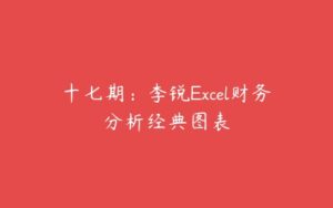 十七期：李锐Excel财务分析经典图表-51自学联盟