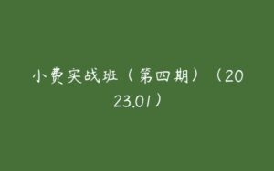 小费实战班（第四期）（2023.01）-51自学联盟