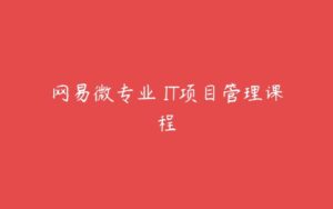 网易微专业 IT项目管理课程-51自学联盟