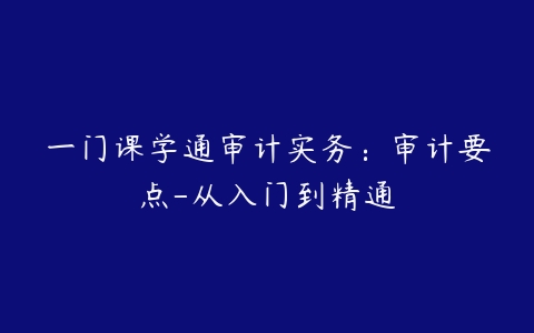 一门课学通审计实务：审计要点-从入门到精通-51自学联盟