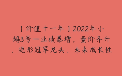 【价值十一年】2022年小鹅3号—业绩暴增，量价齐升，隐形冠军龙头，未来成长性巨大的一家公司-51自学联盟