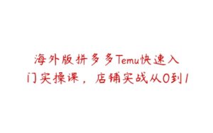 海外版拼多多Temu快速入门实操课，店铺实战从0到1-51自学联盟