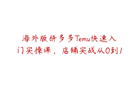 海外版拼多多Temu快速入门实操课，店铺实战从0到1-51自学联盟