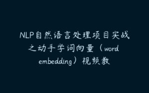 NLP自然语言处理项目实战之动手学词向量（word embedding）视频教程-51自学联盟