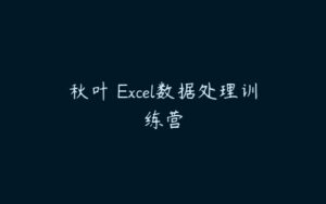 秋叶 Excel数据处理训练营-51自学联盟