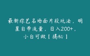 最新综艺名场面片段玩法，明星自带流量，日入200+，小白可做【揭秘】-51自学联盟